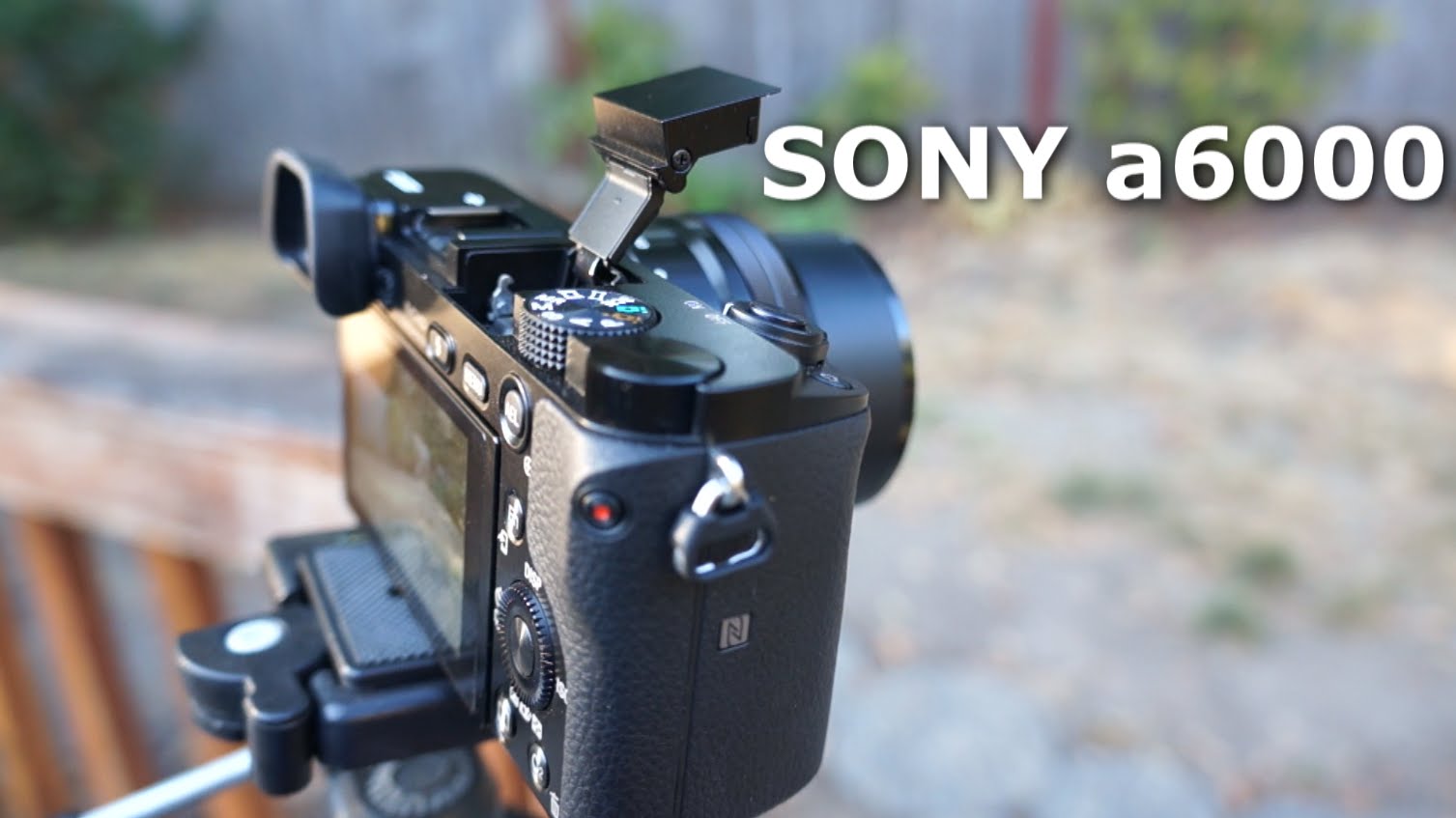 Sony A6000 Фотографии Сделанные Этим Фотоаппаратом